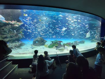 サンシャイン水族館に投稿された画像（2023/6/11）