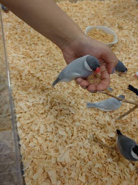 いきもの探検隊湘南に投稿された画像（2023/6/11）