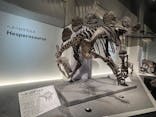 特別展「恐竜博2023」に投稿された画像（2023/6/11）