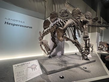 特別展「恐竜博2023」に投稿された画像（2023/6/11）