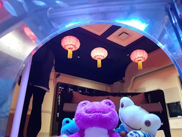 横浜開運水族館 フォーチュンアクアリウムに投稿された画像（2023/6/11）