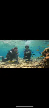 武藤潜水に投稿された画像（2023/6/11）