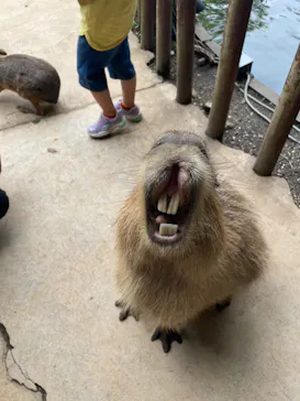 横浜・八景島シーパラダイスに投稿された画像（2023/6/11）