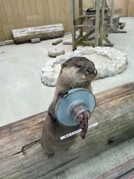 横浜・八景島シーパラダイスに投稿された画像（2023/6/11）