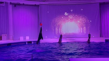 アクアワールド茨城県大洗水族館に投稿された画像（2023/6/11）