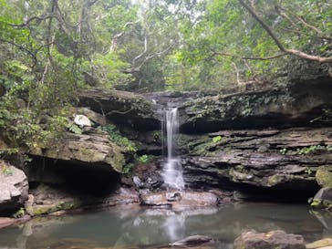 西表島 ADVENTURE PiPi（アドベンチャーピピ）に投稿された画像（2023/6/11）