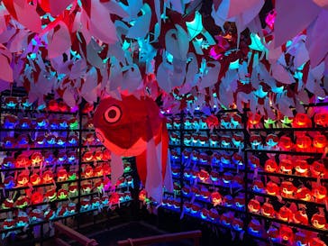 NARA IKIMONO MUSEUMに投稿された画像（2023/6/11）