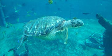 箱根園水族館に投稿された画像（2023/6/11）