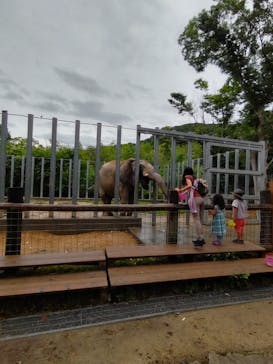 しろとり動物園に投稿された画像（2023/6/11）