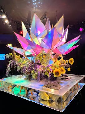 NARA KINGYO MUSEUMに投稿された画像（2023/6/11）