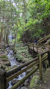 アソビュー株式会社　150881に投稿された画像（2023/6/11）