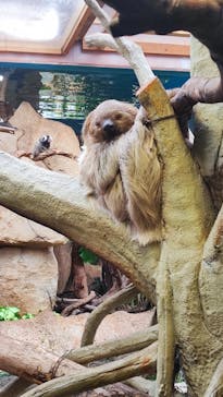 那須どうぶつ王国に投稿された画像（2023/6/12）