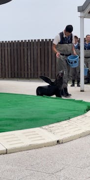 大分マリーンパレス水族館 「うみたまご」に投稿された画像（2023/6/12）