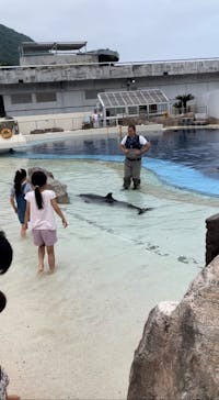 大分マリーンパレス水族館 「うみたまご」に投稿された画像（2023/6/12）