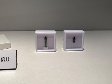 特別展「恐竜博2023」に投稿された画像（2023/6/12）