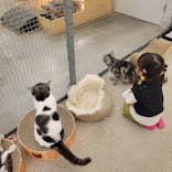 Moff アニマル カフェ イーアス 高尾店に投稿された画像（2023/6/12）