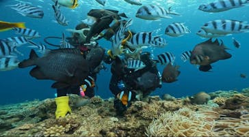 DIVING-SHOP SUNSに投稿された画像（2023/6/12）