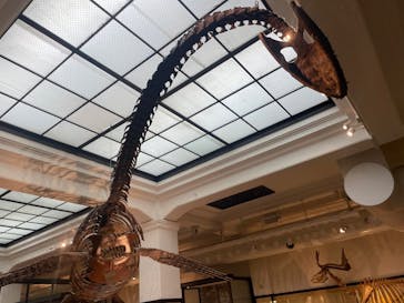 国立科学博物館に投稿された画像（2023/6/12）