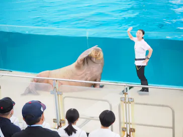 横浜・八景島シーパラダイスに投稿された画像（2023/6/12）