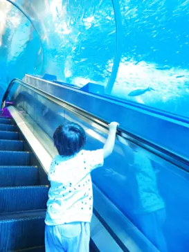 横浜・八景島シーパラダイスに投稿された画像（2023/6/12）