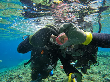 武藤潜水に投稿された画像（2023/6/12）