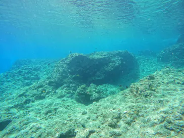 武藤潜水に投稿された画像（2023/6/12）