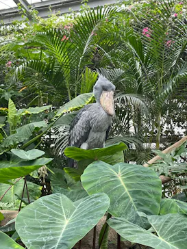 神戸どうぶつ王国に投稿された画像（2023/6/12）