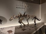 特別展「恐竜博2023」に投稿された画像（2023/6/12）