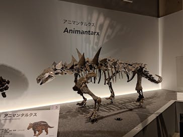 特別展「恐竜博2023」に投稿された画像（2023/6/12）