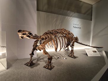 特別展「恐竜博2023」に投稿された画像（2023/6/12）