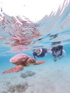 宮古島マリン GB QUESTに投稿された画像（2023/6/12）