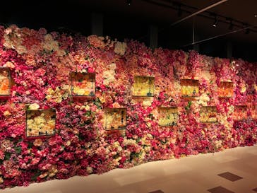 NARA IKIMONO MUSEUMに投稿された画像（2023/6/12）