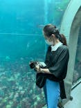 下田海中水族館に投稿された画像（2023/6/12）
