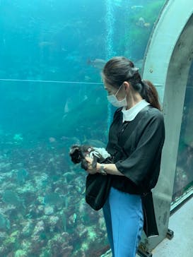 下田海中水族館に投稿された画像（2023/6/12）
