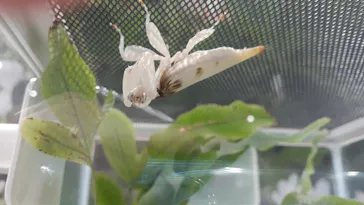 ひらかたパークに投稿された画像（2023/6/12）