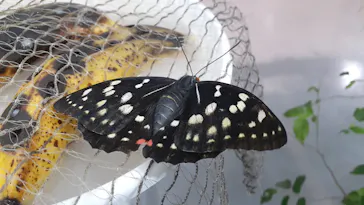 ひらかたパークに投稿された画像（2023/6/12）