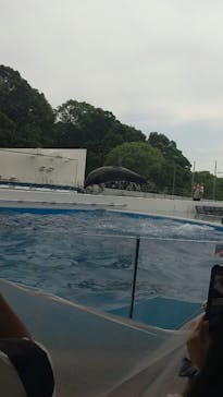 九十九島水族館海きららに投稿された画像（2023/6/12）