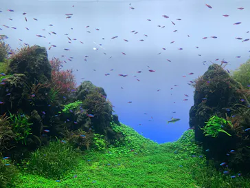 すみだ水族館に投稿された画像（2023/6/12）