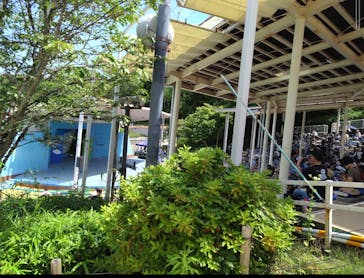 日本モンキーパークに投稿された画像（2023/6/12）