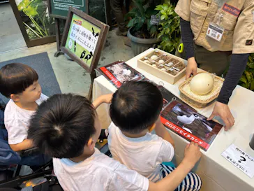 神戸どうぶつ王国に投稿された画像（2023/6/12）