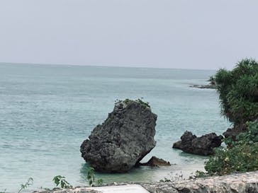 沖縄美ら海水族館に投稿された画像（2023/6/13）