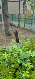 天王寺動物園に投稿された画像（2023/6/13）