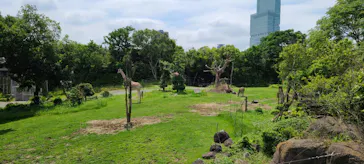 天王寺動物園に投稿された画像（2023/6/13）