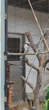 天王寺動物園に投稿された画像（2023/6/13）