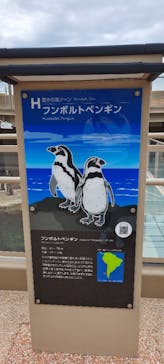 アクアワールド茨城県大洗水族館に投稿された画像（2023/6/13）