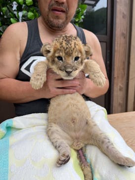 しろとり動物園に投稿された画像（2023/6/13）