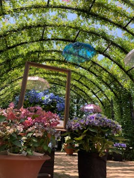 横浜イングリッシュガーデンに投稿された画像（2023/6/13）