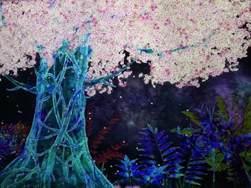 チームラボフォレスト 福岡 - SBI証券に投稿された画像（2023/6/13）