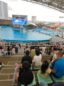 名古屋港水族館に投稿された画像（2023/6/13）