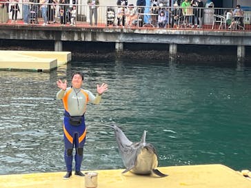 伊豆・三津シーパラダイスに投稿された画像（2023/6/13）